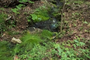DSCF1841