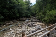 DSCF1861