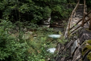 DSCF1864