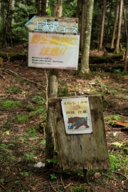 DSCF1897
