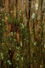 DSCF1902