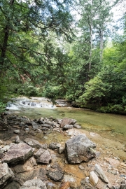 DSCF1918