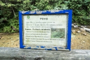 DSCF1920