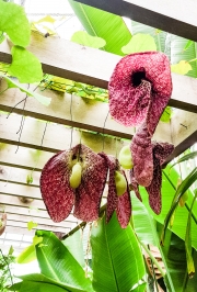 20180824_114520