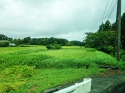 20180825_102951