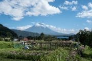 DSCF1440