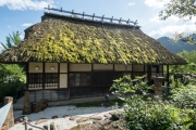 DSCF1446