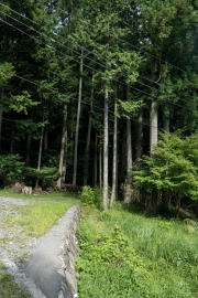 DSCF1466
