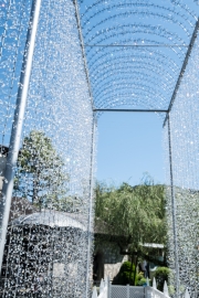 DSCF1631