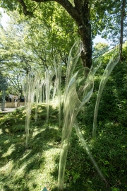 DSCF1652