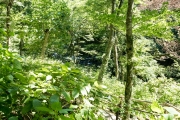 DSCF1657
