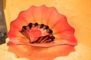DSCF1662