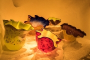DSCF1663