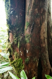 DSCF2023