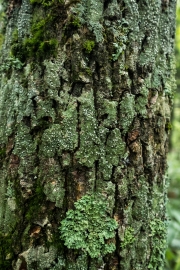 DSCF2086