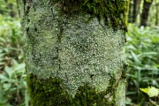 DSCF2088