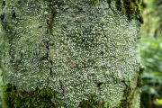DSCF2089