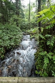 DSCF2110