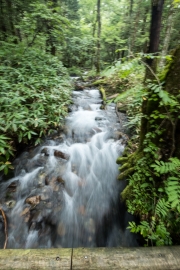 DSCF2115