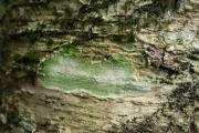 DSCF2143