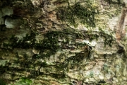 DSCF2144