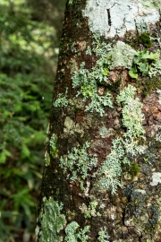 DSCF2146