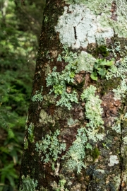 DSCF2147