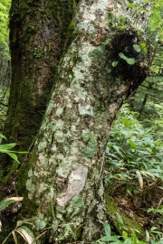 DSCF2152