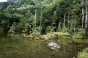 DSCF2156
