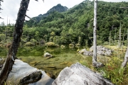 DSCF2158