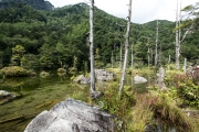 DSCF2160