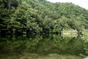 DSCF2180