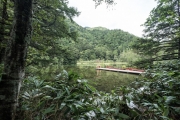 DSCF2185