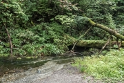 DSCF2223