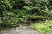 DSCF2224