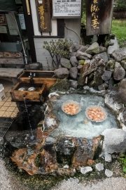 DSCF2246