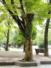20180907_104140
