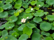 20180910_140733