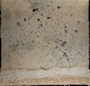 DSCF1971-2