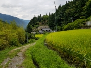 20180828_100923