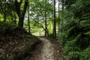 DSCF1699