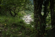 DSCF1701