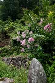 DSCF1722