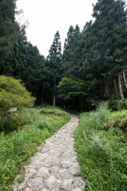 DSCF1726