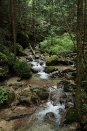 DSCF1768