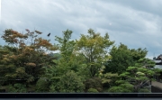 DSCF1825