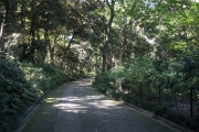 DSCF1311