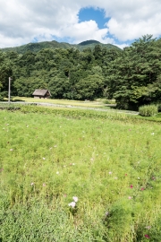DSCF2296