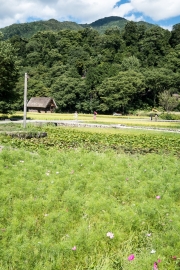 DSCF2301