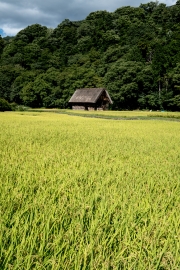 DSCF2311
